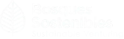 Bosques Sostenibles